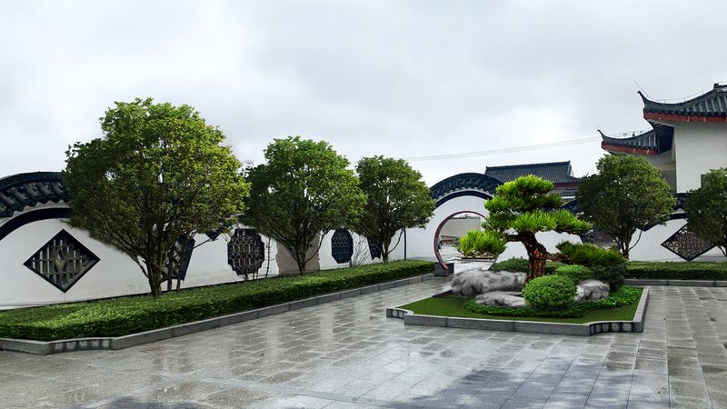 鸢尾养护修剪，掌握频率是关键**
