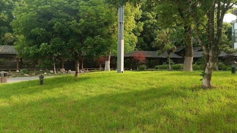 草坪铺设：如何根据土壤条件选择合适的防杂草垫层材料